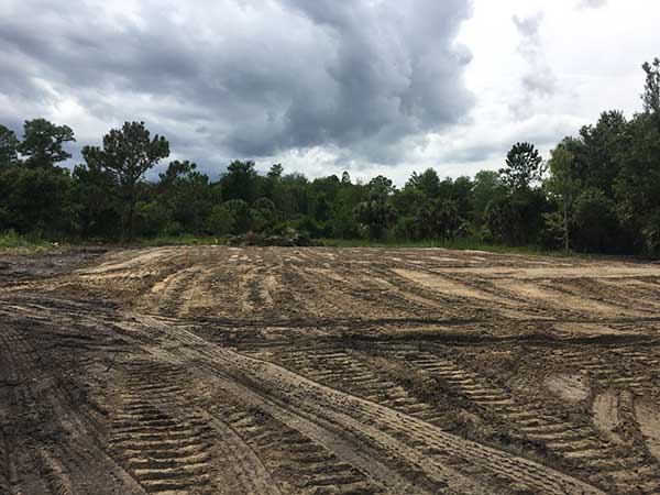 Land clearing Grading